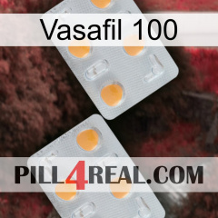 Vasafil 100 25